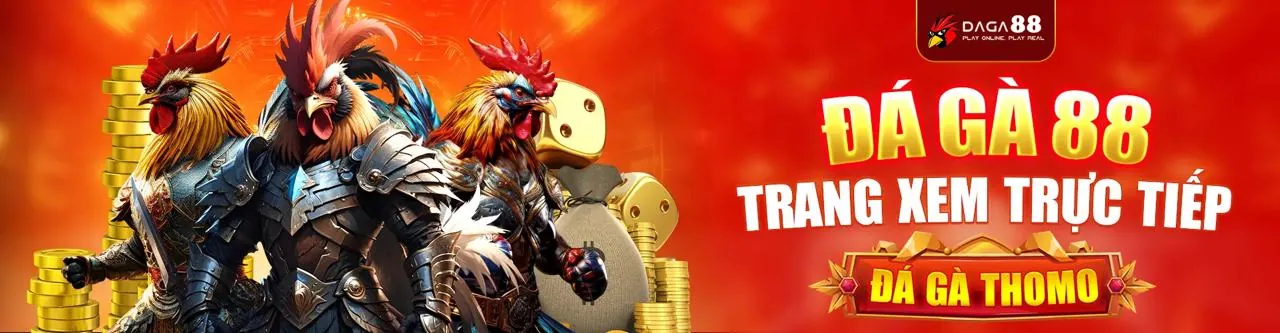Đấu gà trực tuyến tại qu88 đăng nhập
